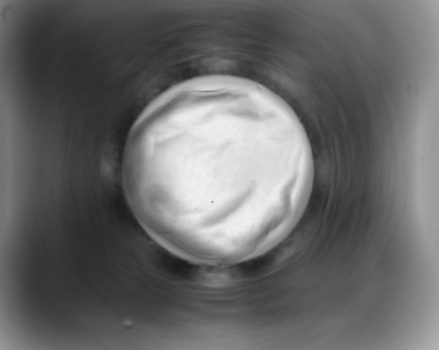 X0000088050181200706081637