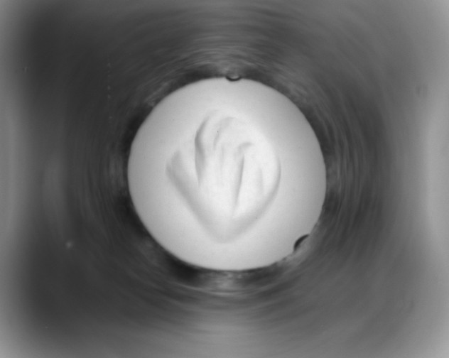 X0000088050182200706081637