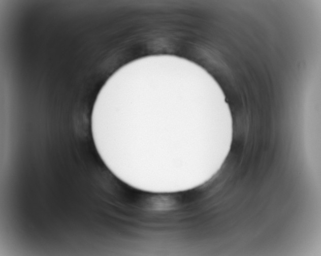 X0000088050183200706081637