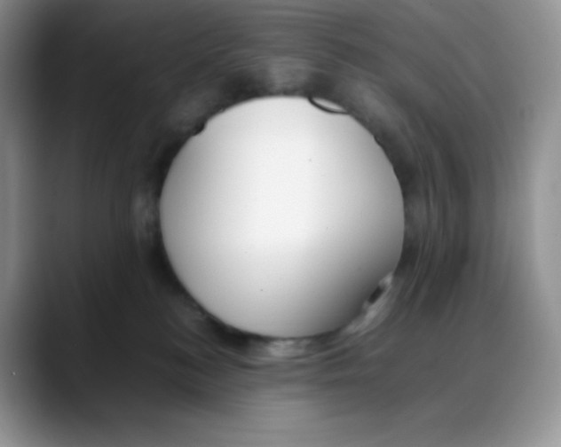 X0000088050184200706081637