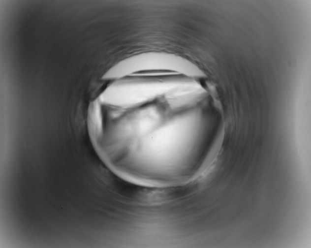 X0000088050186200706081637