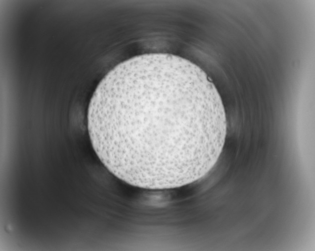 X0000088050187200706081637