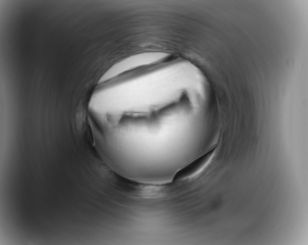 X0000088050192200706081637