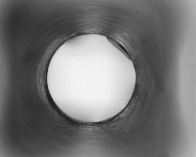 X0000088050193200706081636