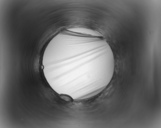 X0000088050194200706081636