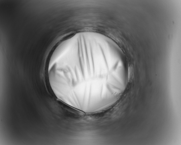 X0000088050195200706081636