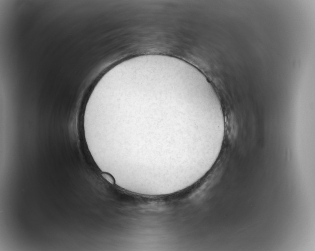 X0000088050196200706081636