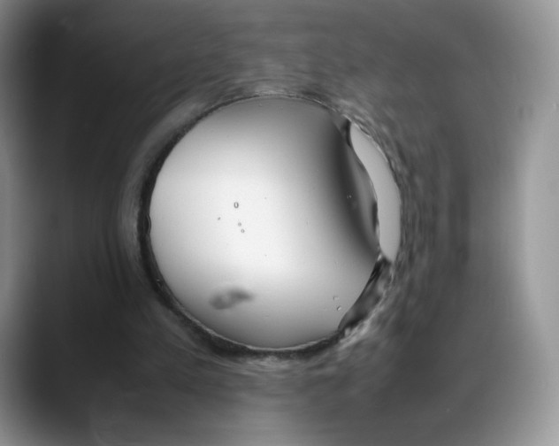 X0000088050197200706081636