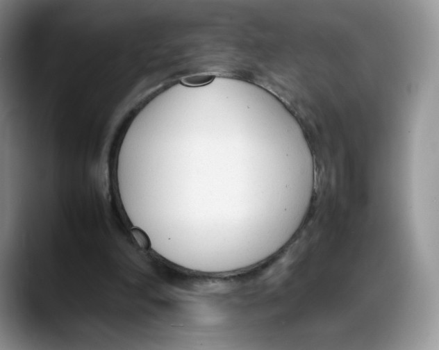 X0000088050198200706081636