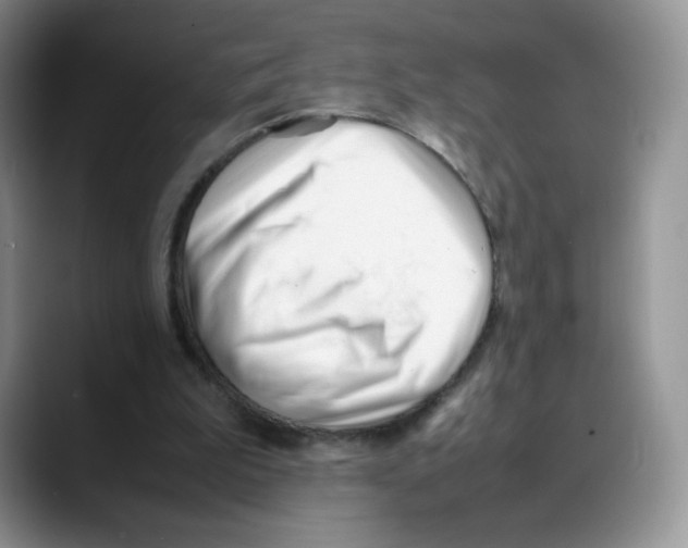 X0000088050199200706081636