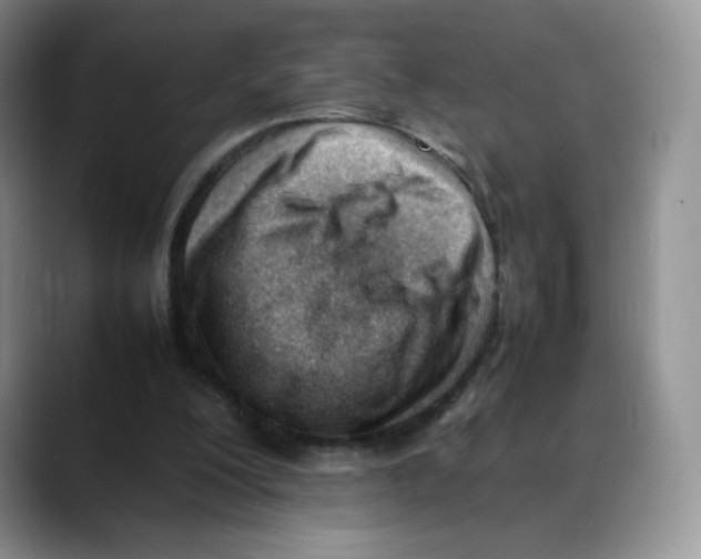 X0000088050200200706081636