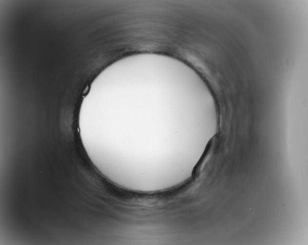 X0000088050201200706081636