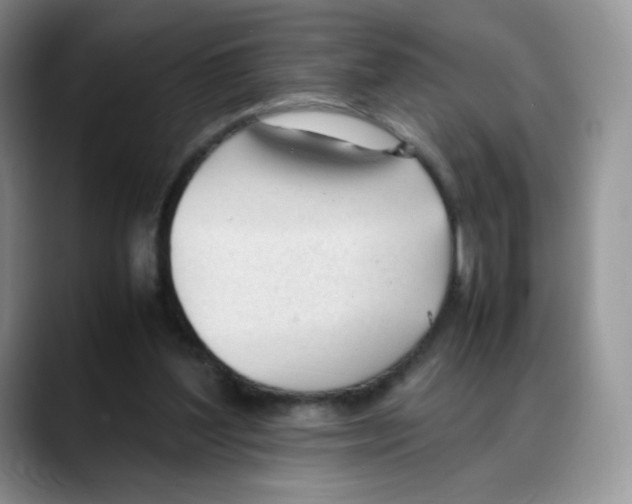 X0000088050204200706081636