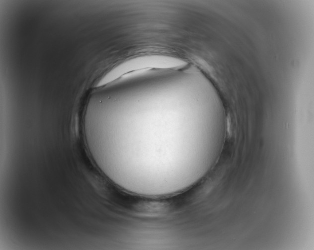 X0000088050205200706081636