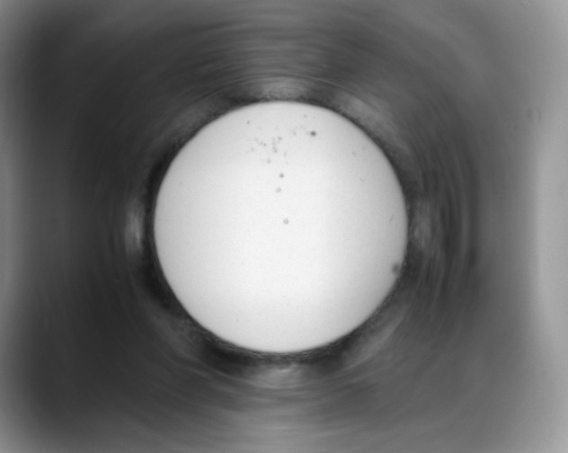 X0000088050206200706081636