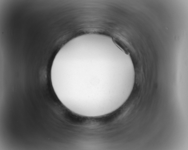 X0000088050207200706081636