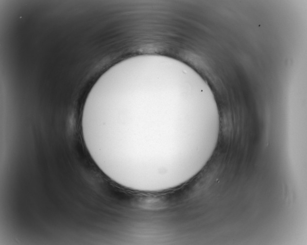 X0000088050208200706081636