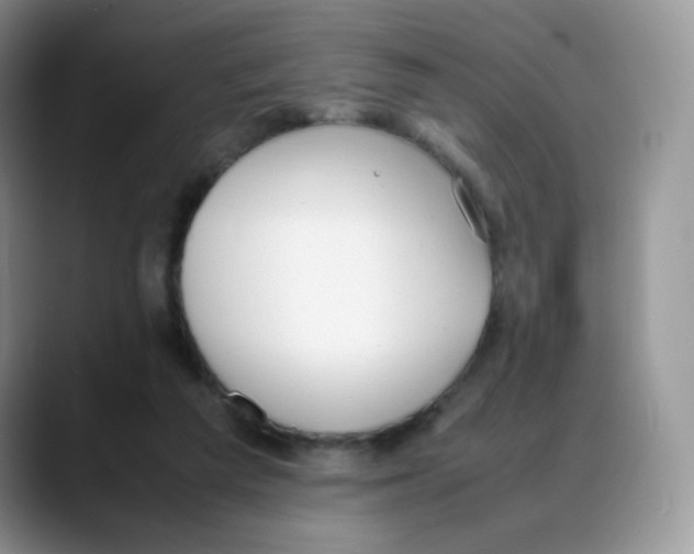 X0000088050209200706081636