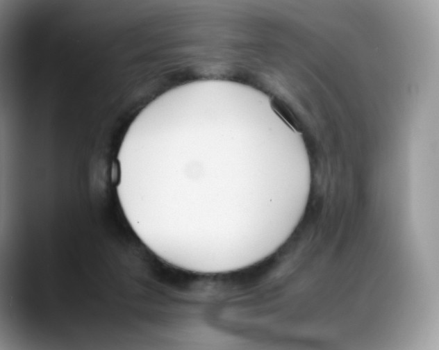 X0000088050211200706081636