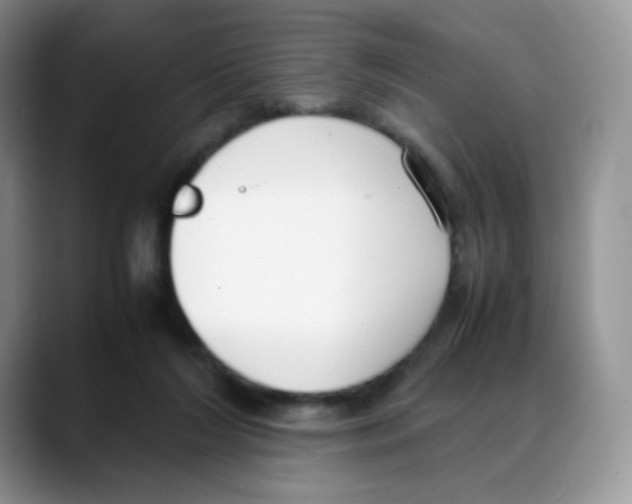 X0000088050212200706081636
