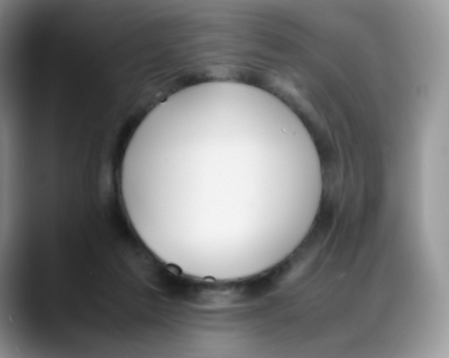 X0000088050213200706081636