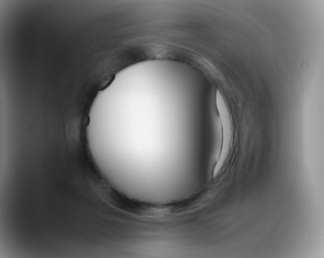 X0000088050217200706081636