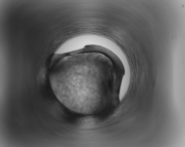 X0000088050219200706081636