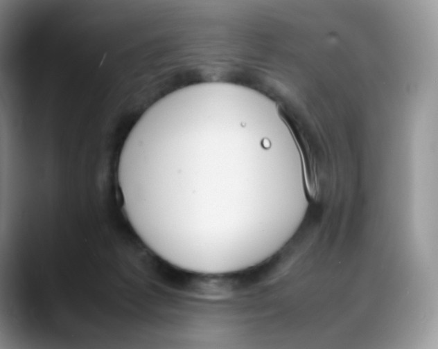X0000088050221200706081636