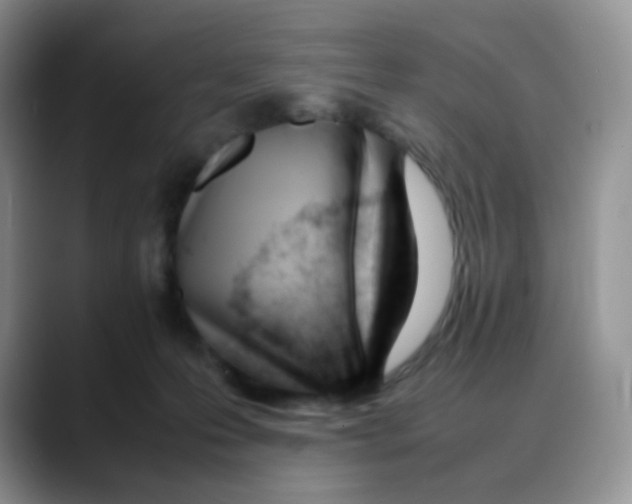 X0000088050223200706081636