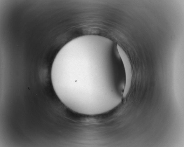 X0000088050224200706081636