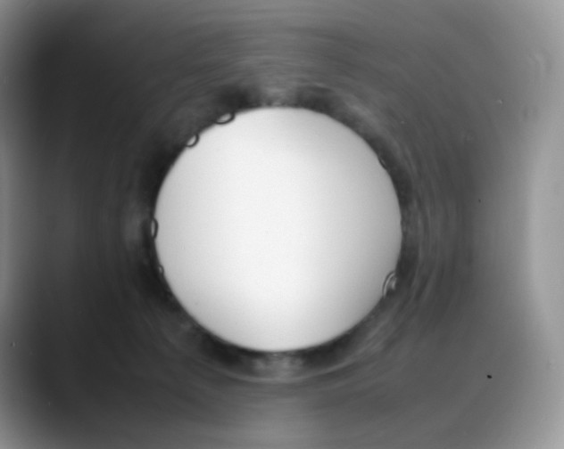 X0000088050225200706081636