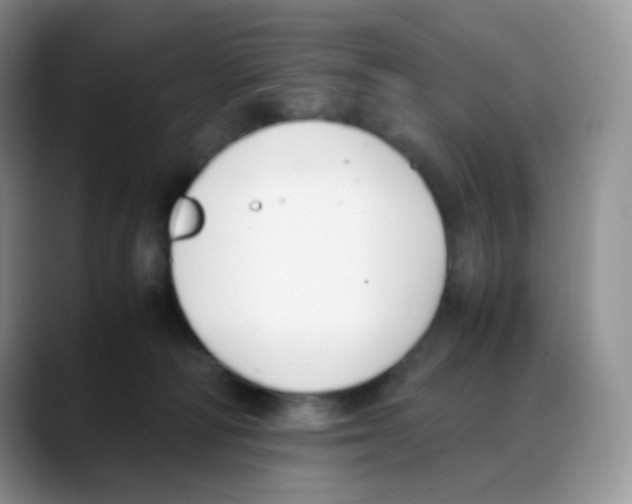 X0000088050226200706081636