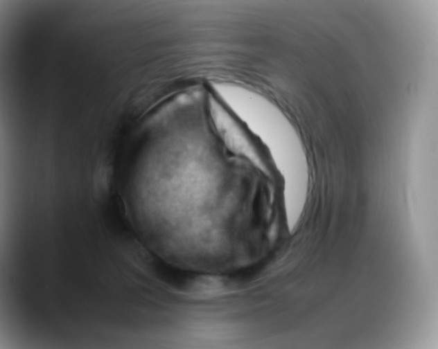 X0000088050227200706081636