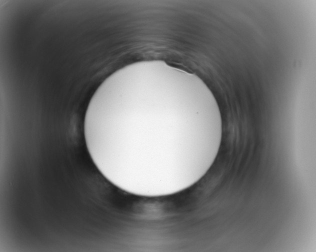 X0000088050228200706081636