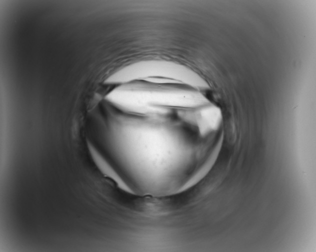 X0000088050229200706081636