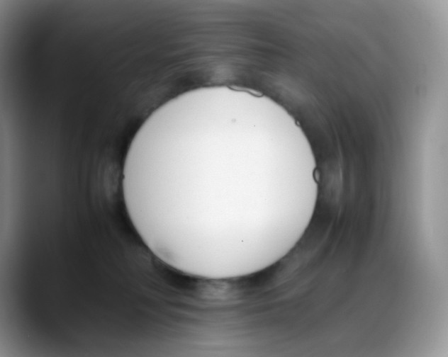 X0000088050230200706081636