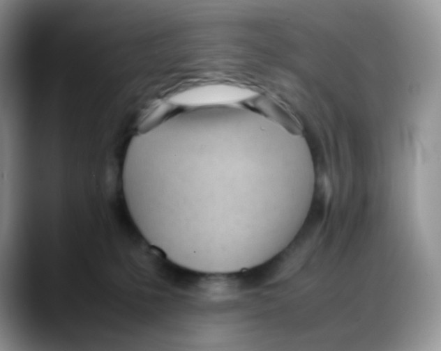X0000088050231200706081636