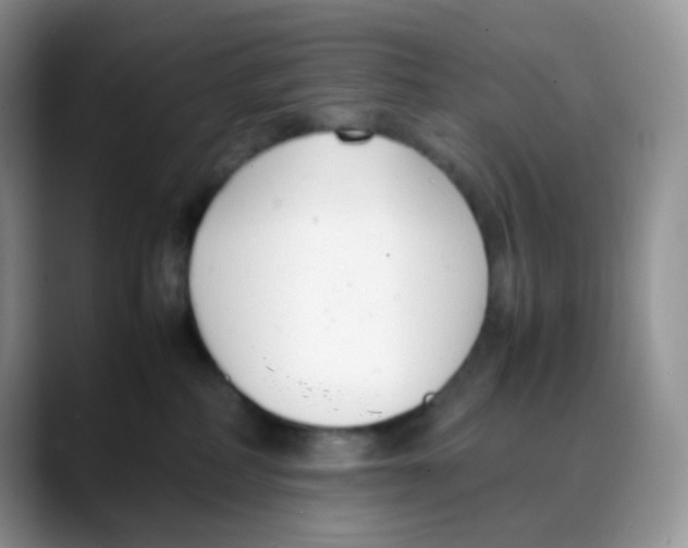 X0000088050234200706081636