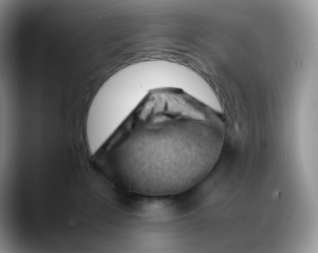 X0000088050235200706081636