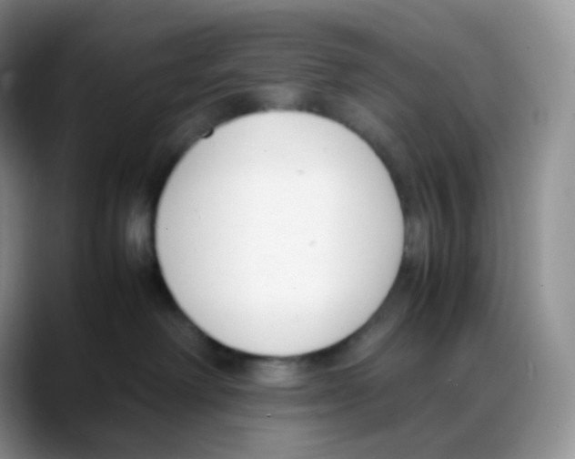 X0000088050238200706081635
