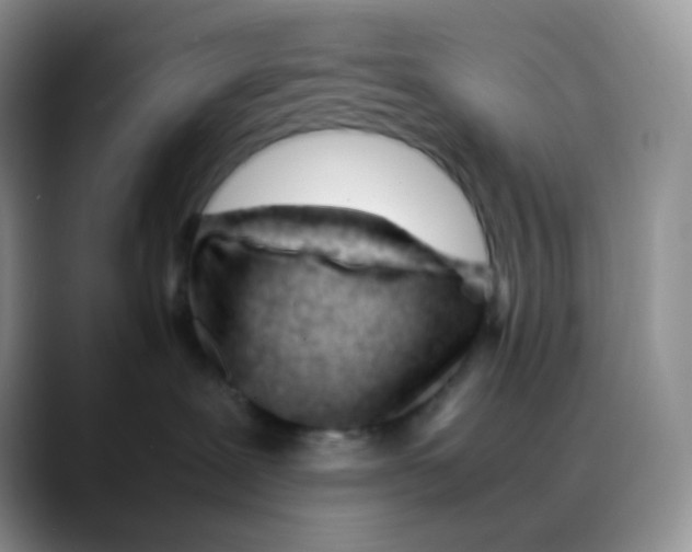 X0000088050239200706081635