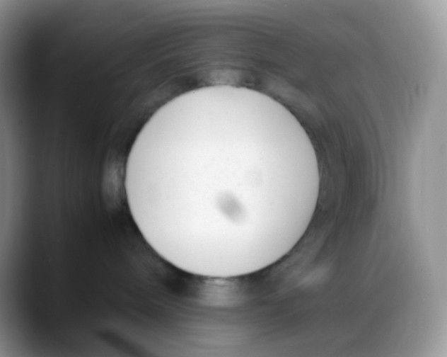 X0000088050240200706081635