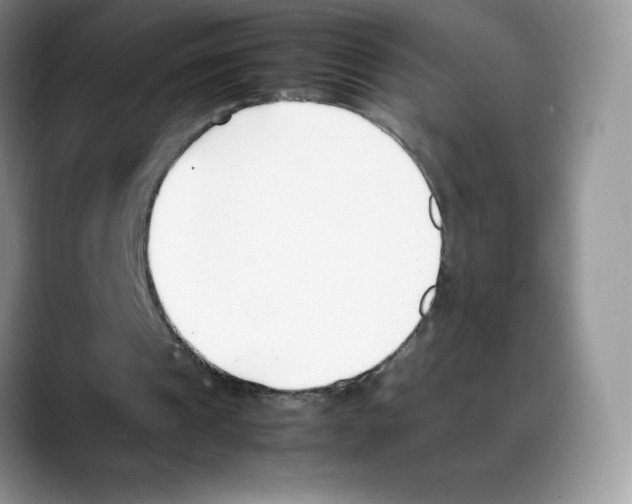 X0000088050241200706081635