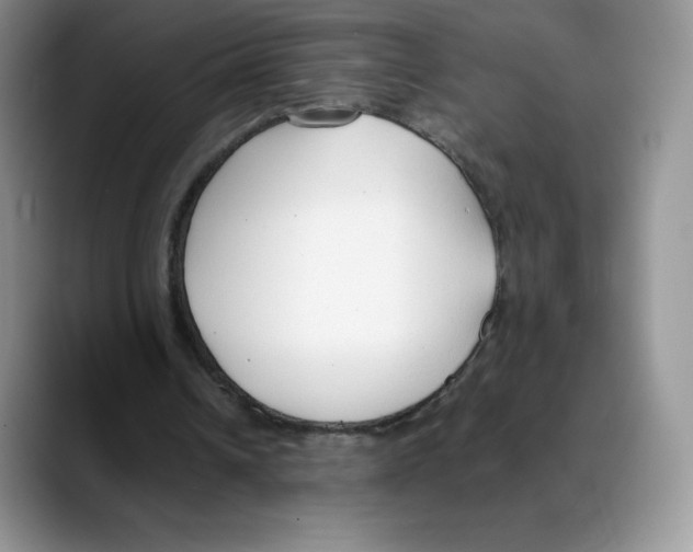 X0000088050242200706081635