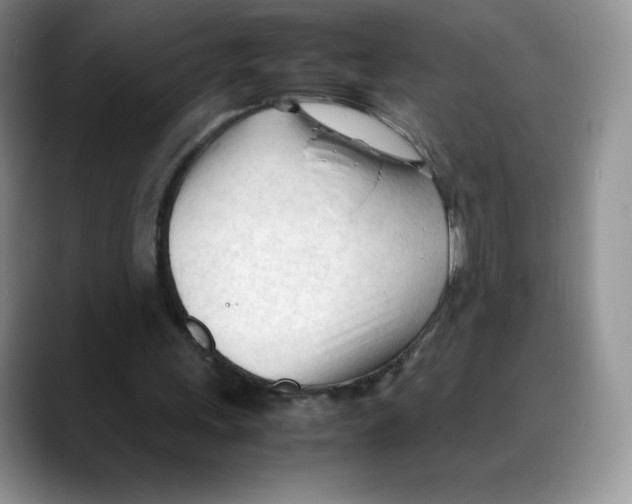 X0000088050243200706081635