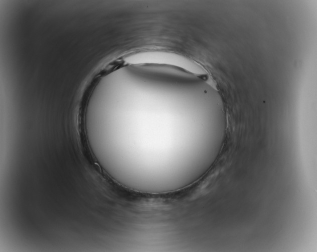 X0000088050244200706081635