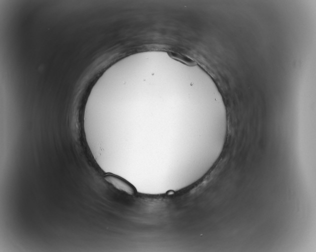 X0000088050245200706081635