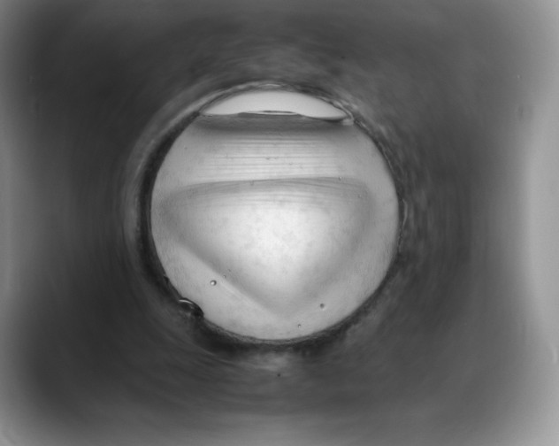 X0000088050247200706081635