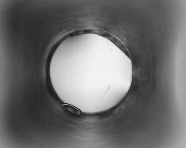 X0000088050248200706081635