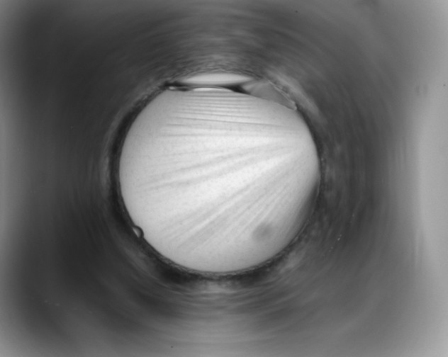 X0000088050250200706081635